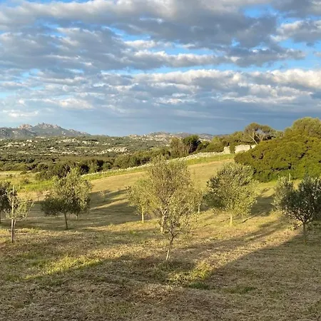 Lu Nibbareddu Stazzu Di Campagna